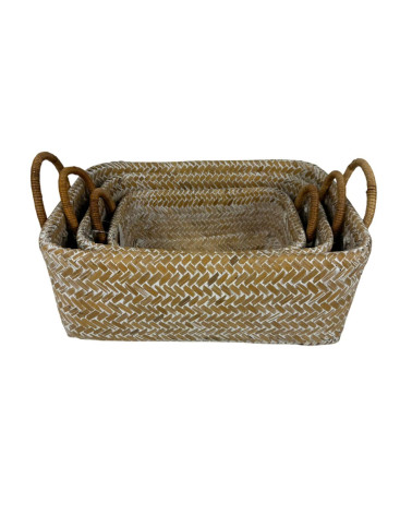 CAJÓN SEAGRASS ASAS 30X20X12 CM