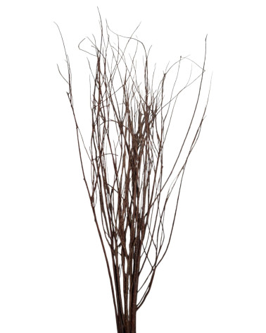 TARAJE MARRÓN 100 CM