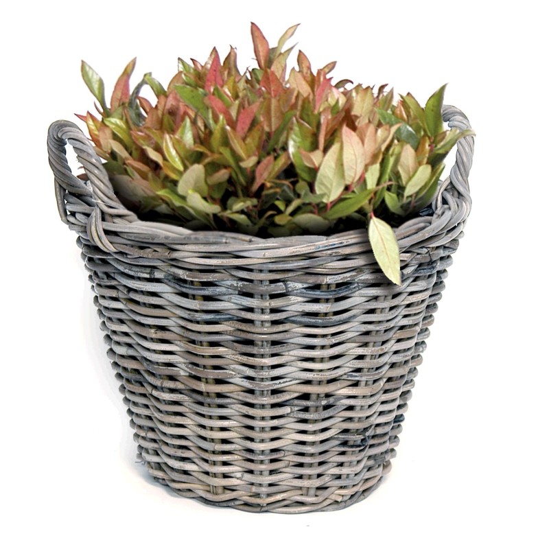 CUEVANO RATTAN D42X31 CM