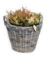 CUEVANO RATTAN D42X31 CM