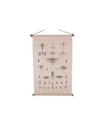 CUADRO COLGADO INSECTOS 65X85CM