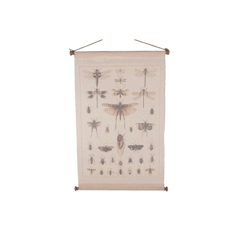 CUADRO COLGADO INSECTOS 65X85CM