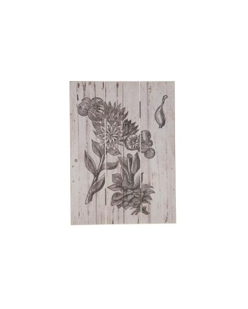 CUADRO PLANTAS 29x39x1.8