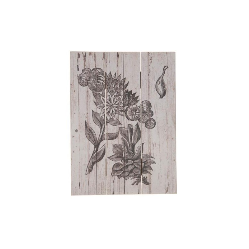 CUADRO PLANTAS 29x39x1.8