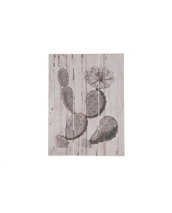 CUADRO CACTUS 29x39x1.8