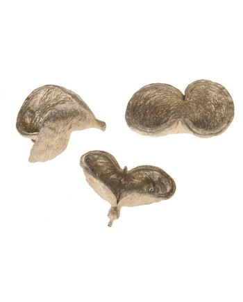 BADAM CHAMPAGNE 15 PZS