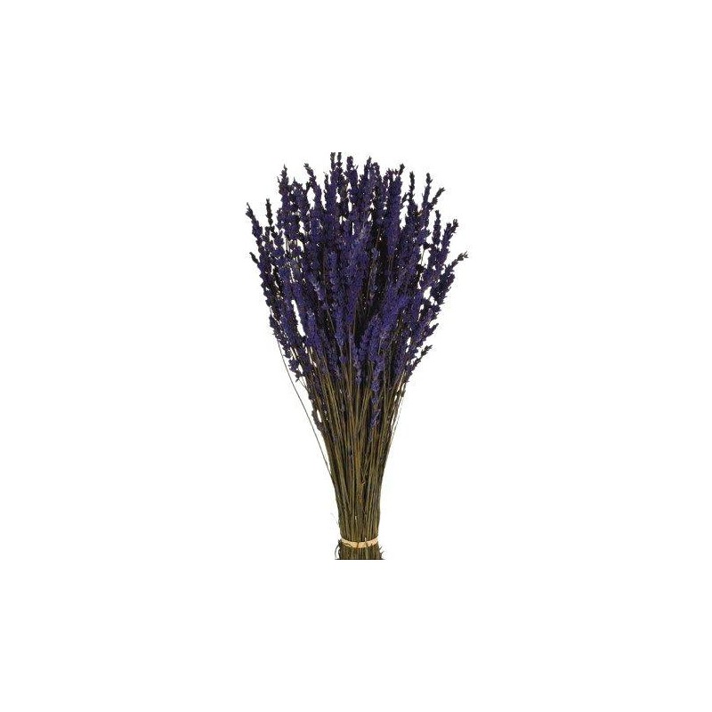 LAVANDA PRESERVADA 45 CM 150 GR