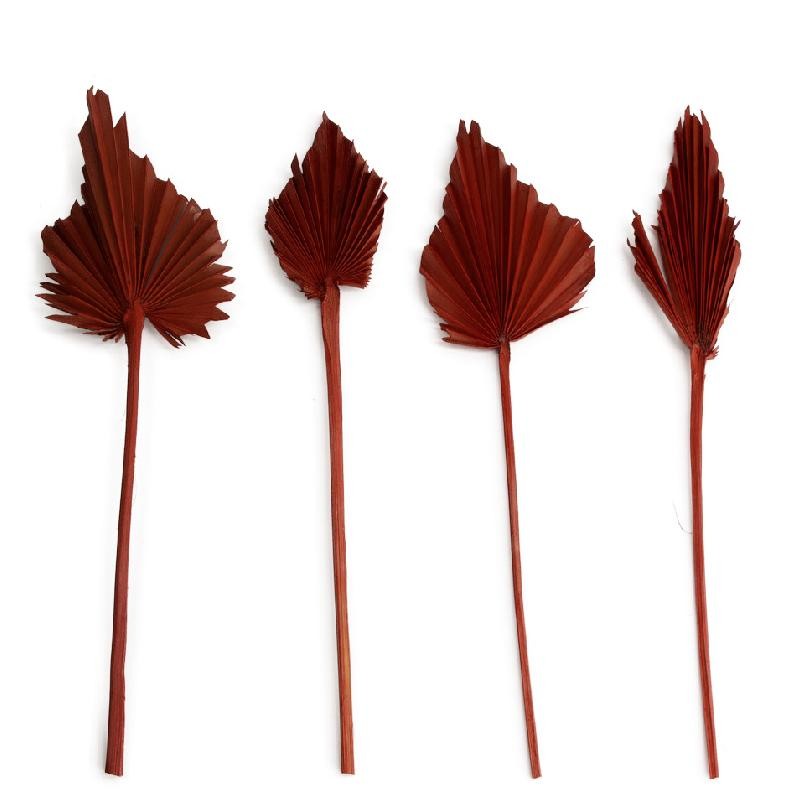 HOJA DE PALMA MARRÓN 30/37X8X0.5 CM 4 PZS