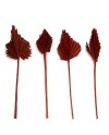 HOJA DE PALMA MARRÓN 30/37X8X0.5 CM 4 PZS
