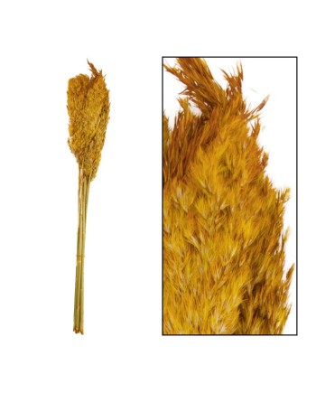 WILD REED PLUME VINZ OCRE