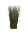 BUNDLE GRASS 30x11x90cm