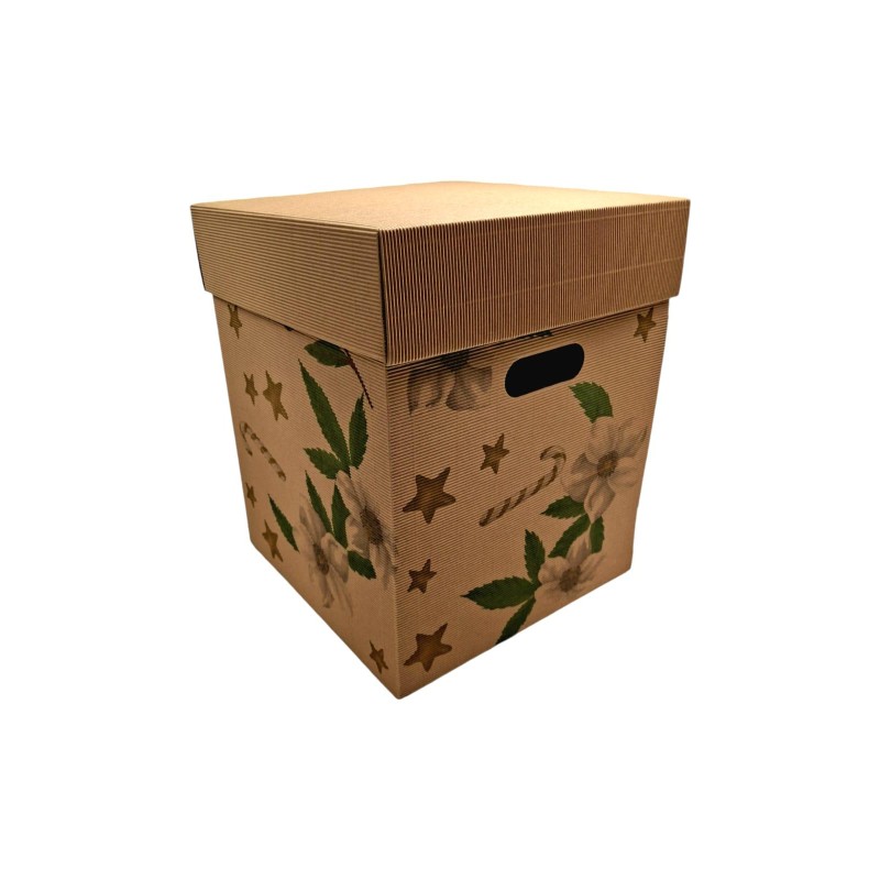 CAJA CARTÓN KRAFT ELEBORO 30X30X35 CM