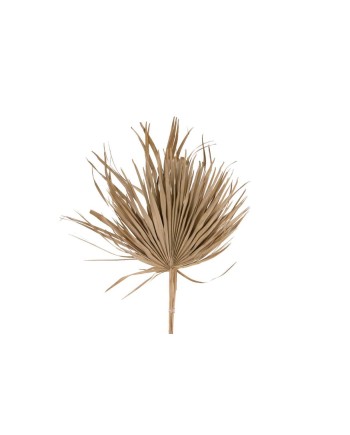 HOJA DE PALMA 75 CM 5 PZS