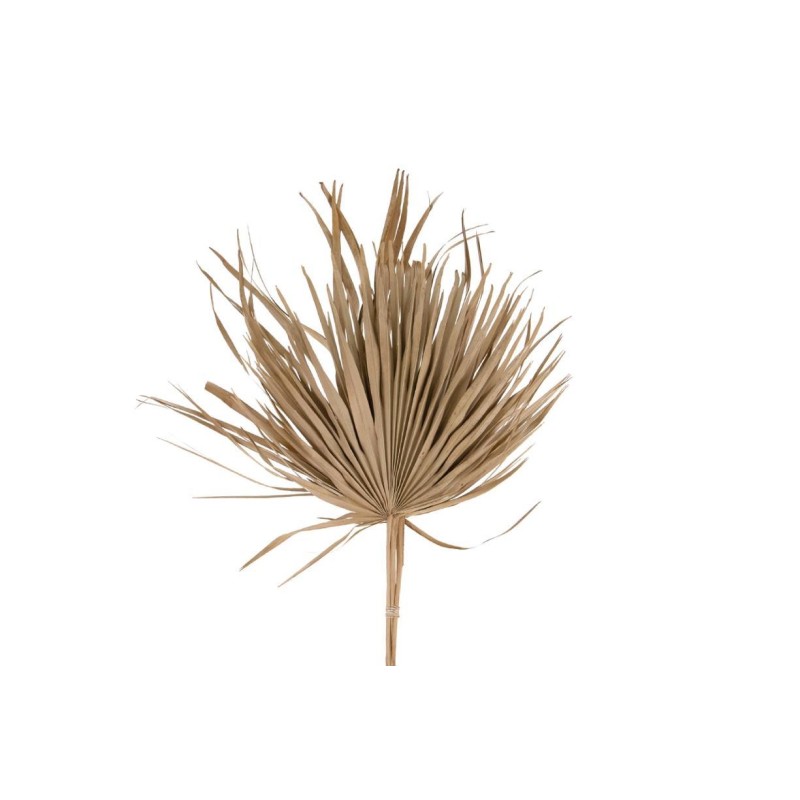 HOJA DE PALMA 75 CM 5 PZS