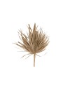 HOJA DE PALMA 75 CM 5 PZS