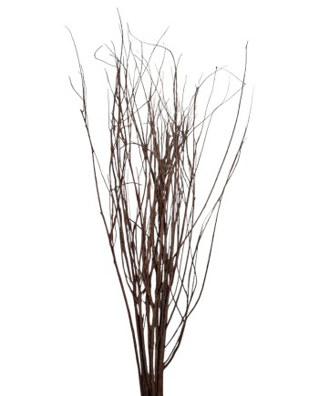 TARAJE MARRÓN 100 CM