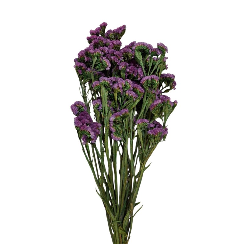 STATICE SINUATA PRESERVADA LILA 75 CM
