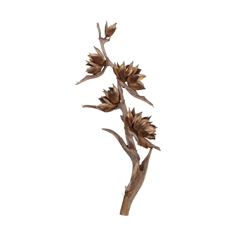 RAMA SOROROCA TRUNK 125X25X20 CM