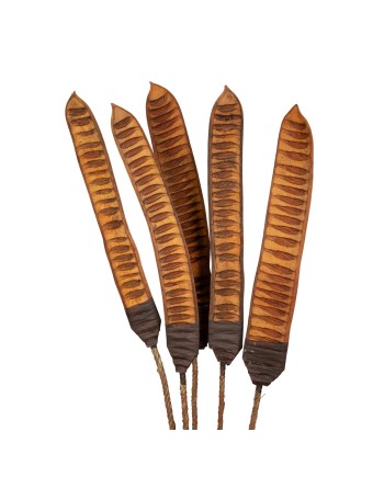 RAMAS STEP FRUIT VIZY MARRÓN 100X20X4 CM 5 PZS