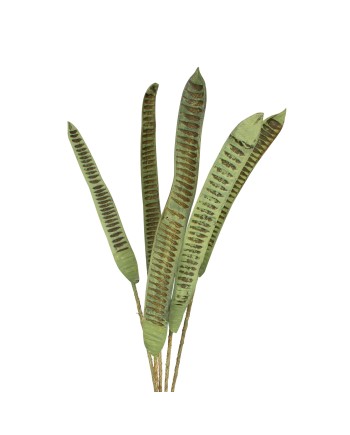 RAMAS STEP FRUIT VIZY VERDE 100X20X4 CM 5 PZS