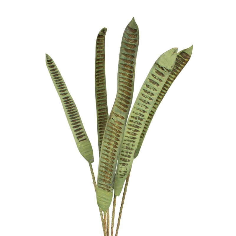 RAMAS STEP FRUIT VIZY VERDE 100X20X4 CM 5 PZS