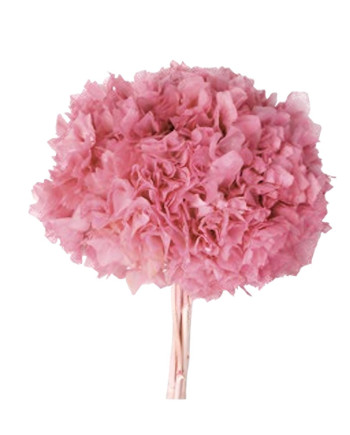 HORTENSIA PRESERVADA ROSA