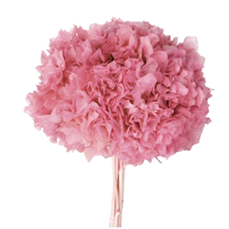 HORTENSIA PRESERVADA ROSA