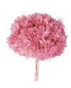 HORTENSIA PRESERVADA ROSA