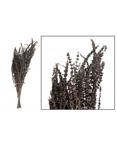 Palma grass 50-65cm 100gr