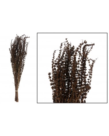Palma grass 50-65cm 100gr